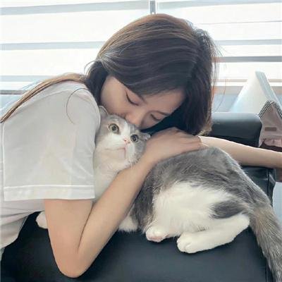 星耀女孩:好莱坞篇